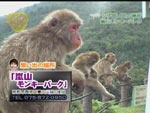 嵐山モンキーパーク