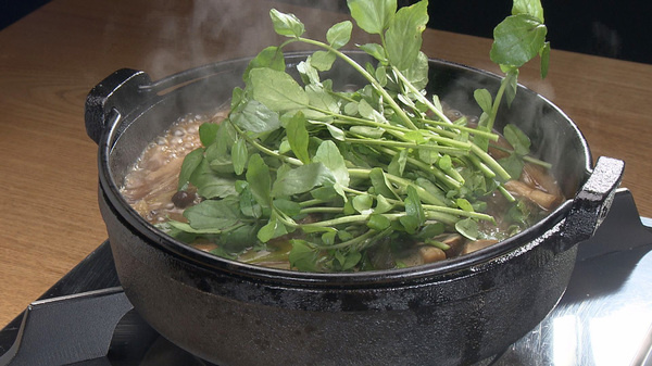 地鶏料理 やまさ和