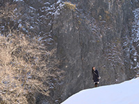 岩手の風景