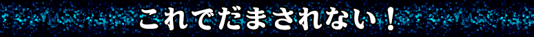 これでだまされない！