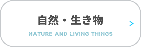 自然・生き物　nature and living things