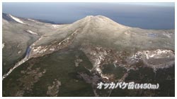 オツカバケ岳