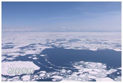 流氷帯（根室海峡）　