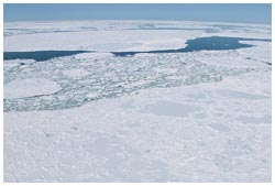 オホーツク海の流氷原