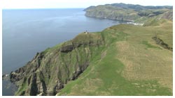 礼文島・桃岩歩道の散策路