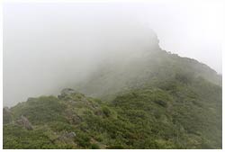 アポイ岳・夏の霧