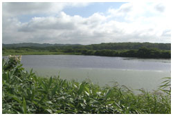 サロベツ原野の湖沼