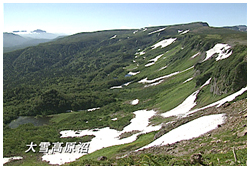 大雪高原沼