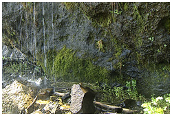 温泉の滝