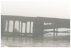 朽ちた桟橋・ウルップ島