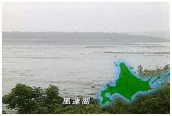 風蓮湖の干潟