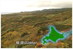 旭岳の紅葉