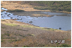 ヒサゴ沼