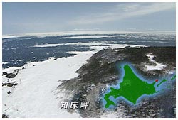 知床岬の流氷