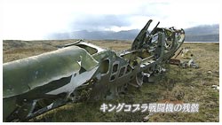 キングコブラ機残骸・１