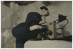 雪の顕微鏡観察