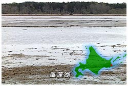 風蓮湖