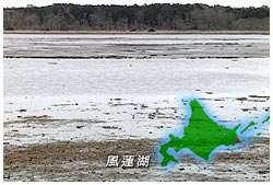 風蓮湖