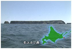 モユルリ島