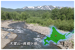 大雪山･高根ヶ原