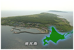 焼尻島 