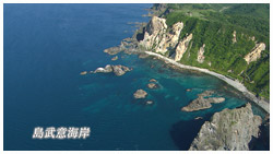 島武意海岸