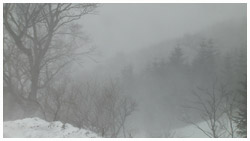 知床･吹雪