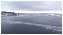 ハス葉氷の海