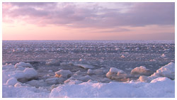 夕日と海氷