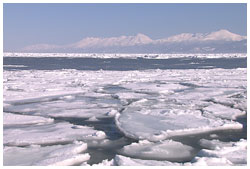 流氷と知床連山