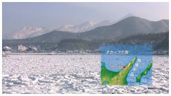 流氷の海・知床