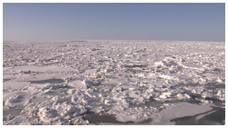 流氷･知床の海埋める