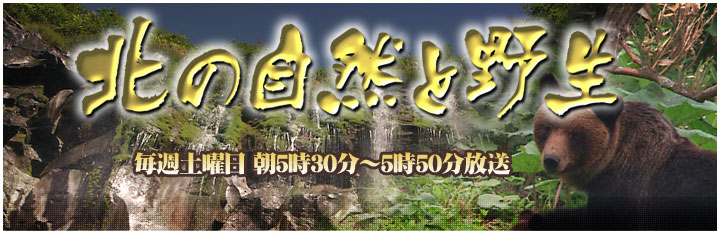 「北の自然と野生」　毎週土曜日　朝5時30分～5時50分放送