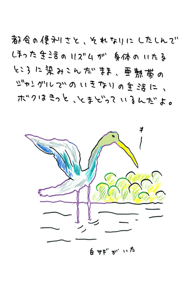 クジライラスト