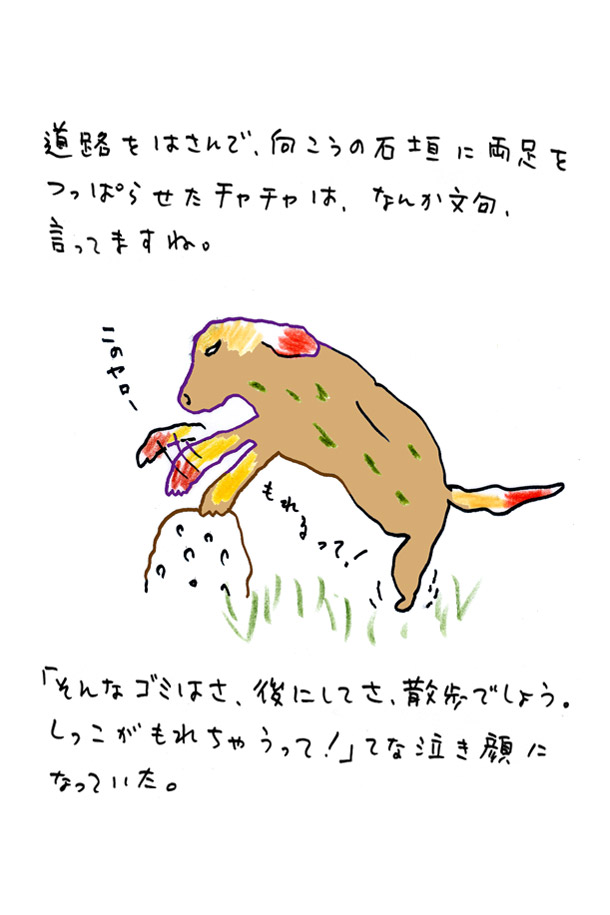 クジライラスト