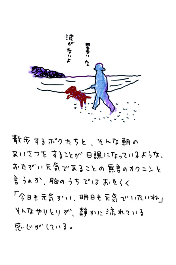 クジライラスト