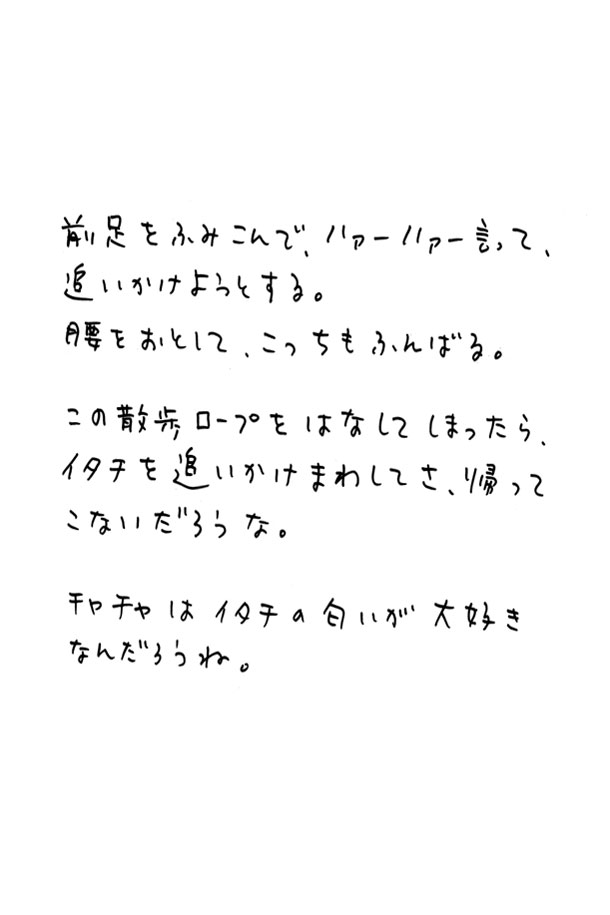 クジライラスト