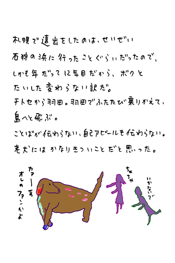 クジライラスト