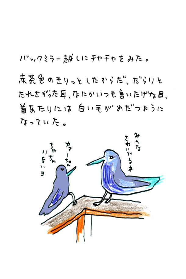 クジライラスト