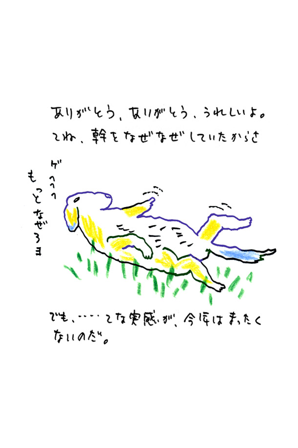 クジライラスト