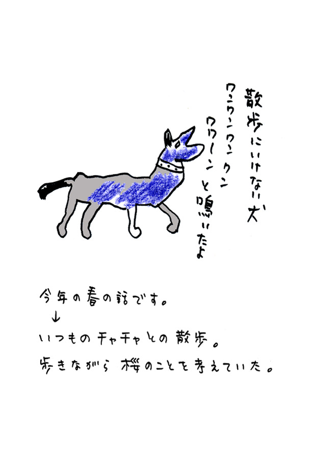 クジライラスト