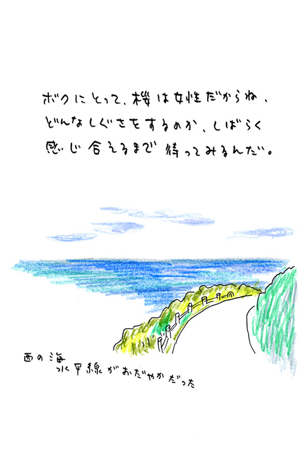 クジライラスト