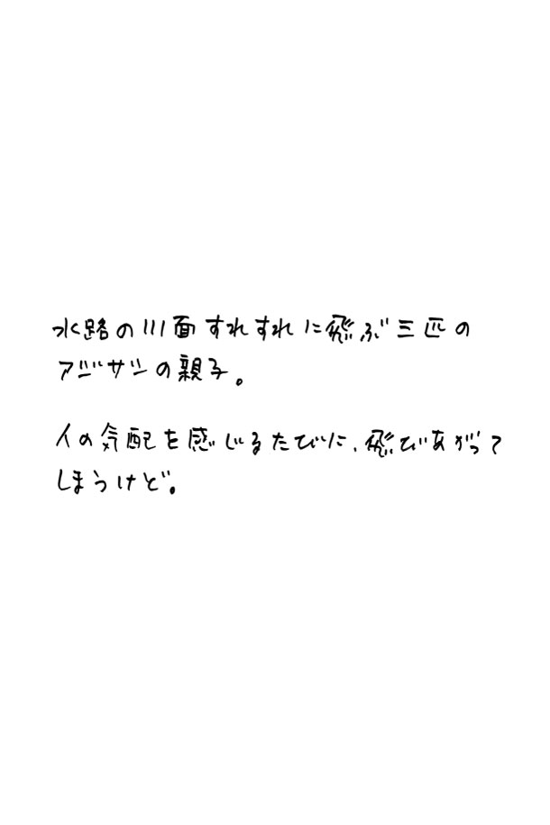 クジライラスト