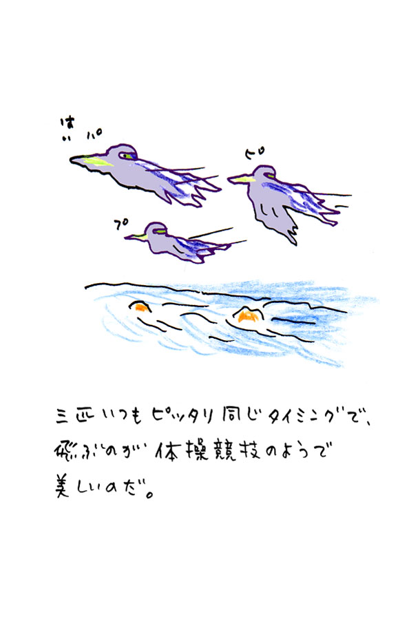 クジライラスト