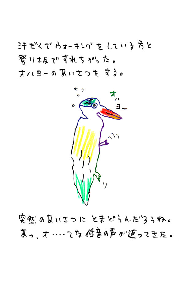 クジライラスト