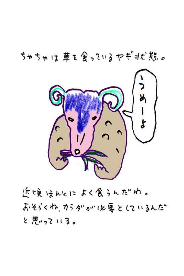 クジライラスト