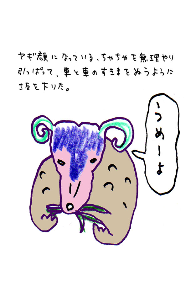 クジライラスト