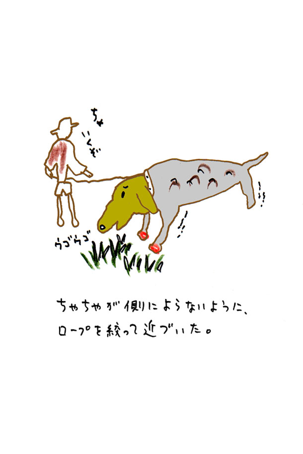 クジライラスト