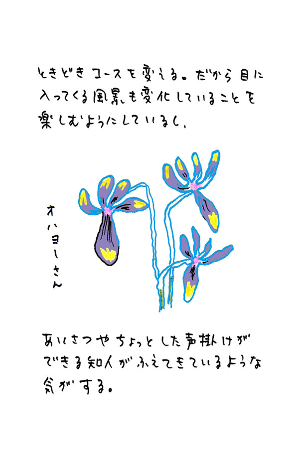 クジライラスト
