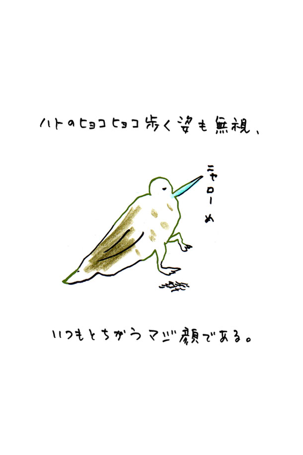 クジライラスト